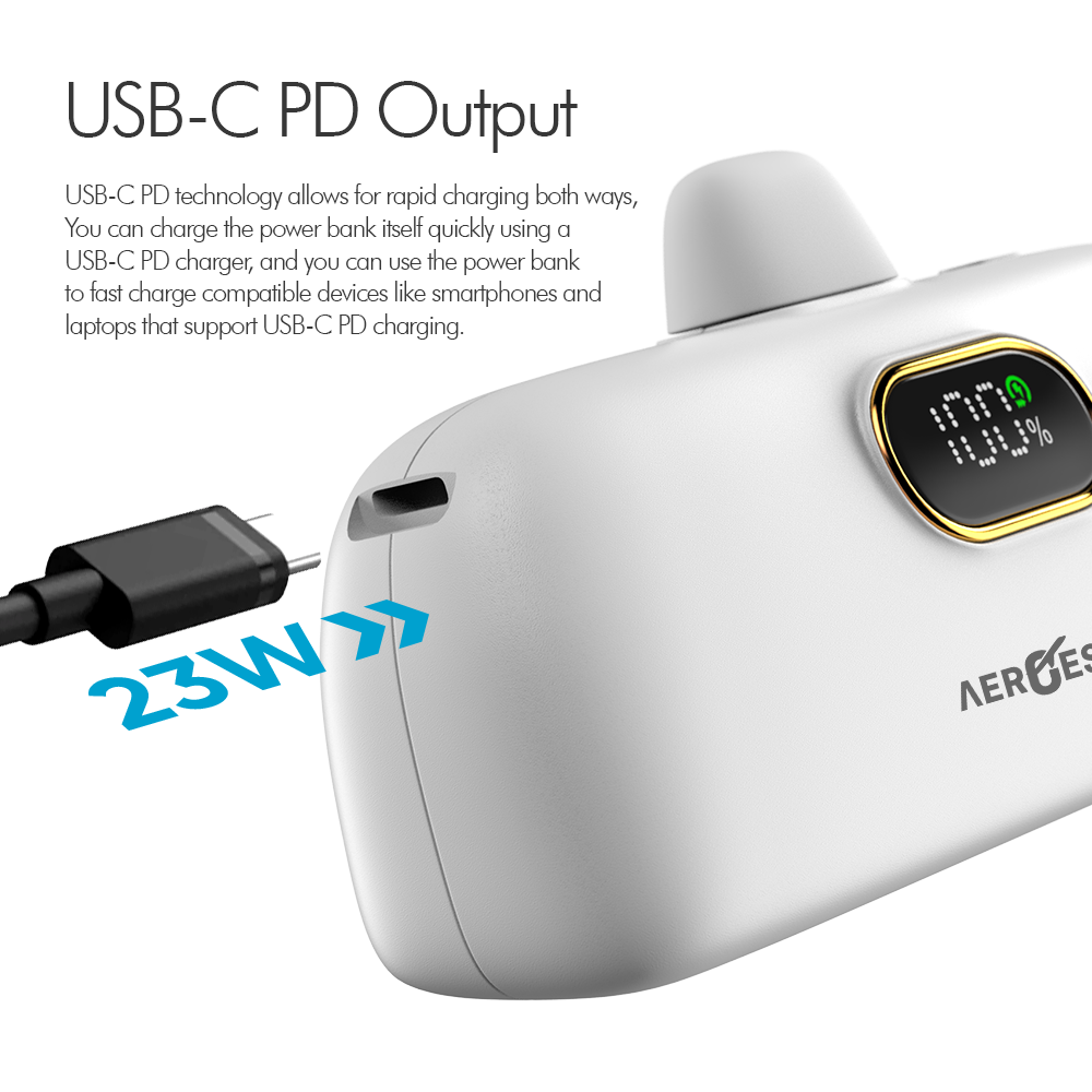 USB-C PD Output Power Bank 